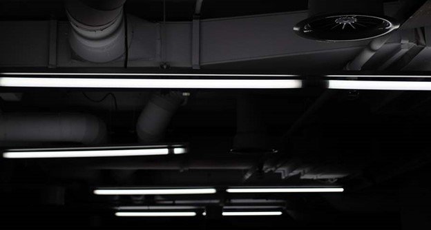 Global Fluorescent Ban