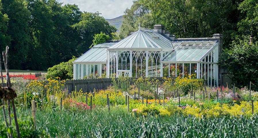 LED Grow Lights for Greenhouse