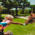 outdoor digital signage solutions